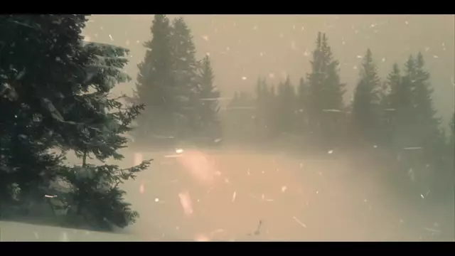 SKÁLD - Þat Mælti Mín Móðir (My Mother Told Me) (Visualiser)