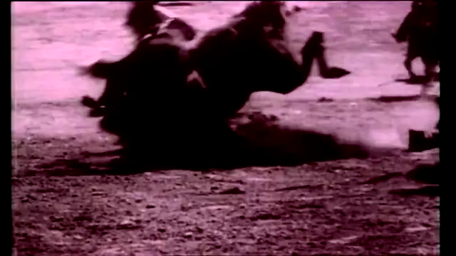 Iron Maiden - The Trooper (Official Video)