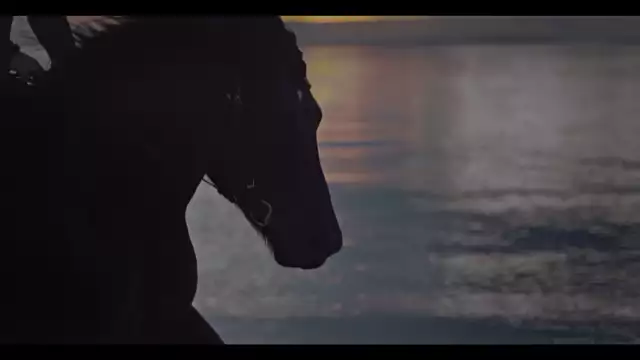 Wardruna - Raido (Official music video)